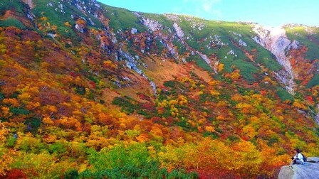 千畳敷カールの紅葉17 見ごろの時期や混雑 アクセスは